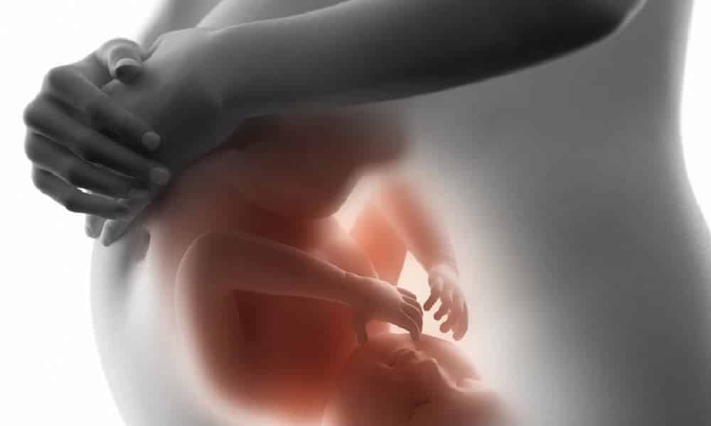 O que acontece no corpo durante a gravidez? Veja a mudança mês a mês