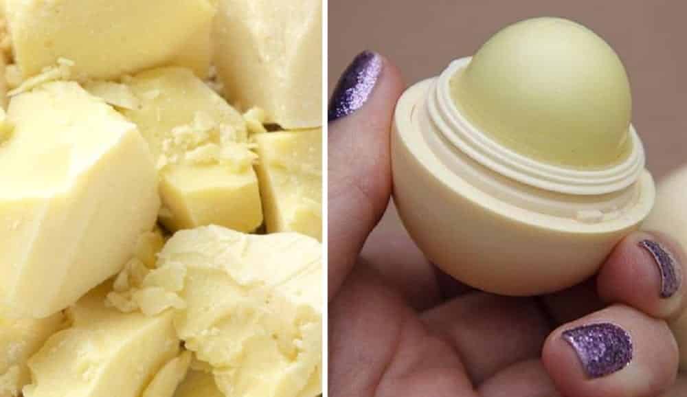 Manteiga de cacau – Como é feita e 10 utilidades incríveis para o dia a dia