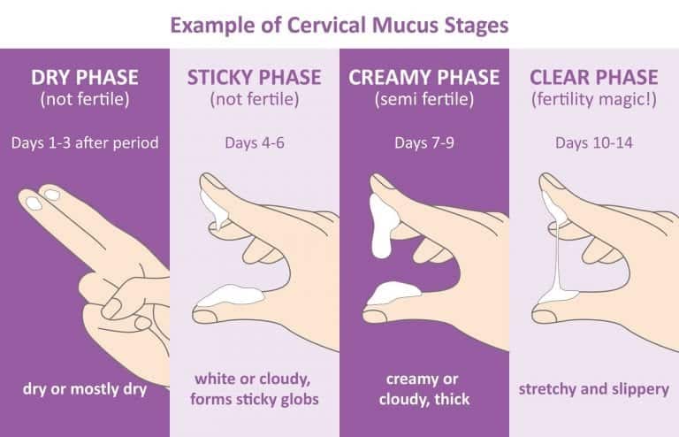 can-sinus-infection-affect-cervical-mucus-fertility-fortune