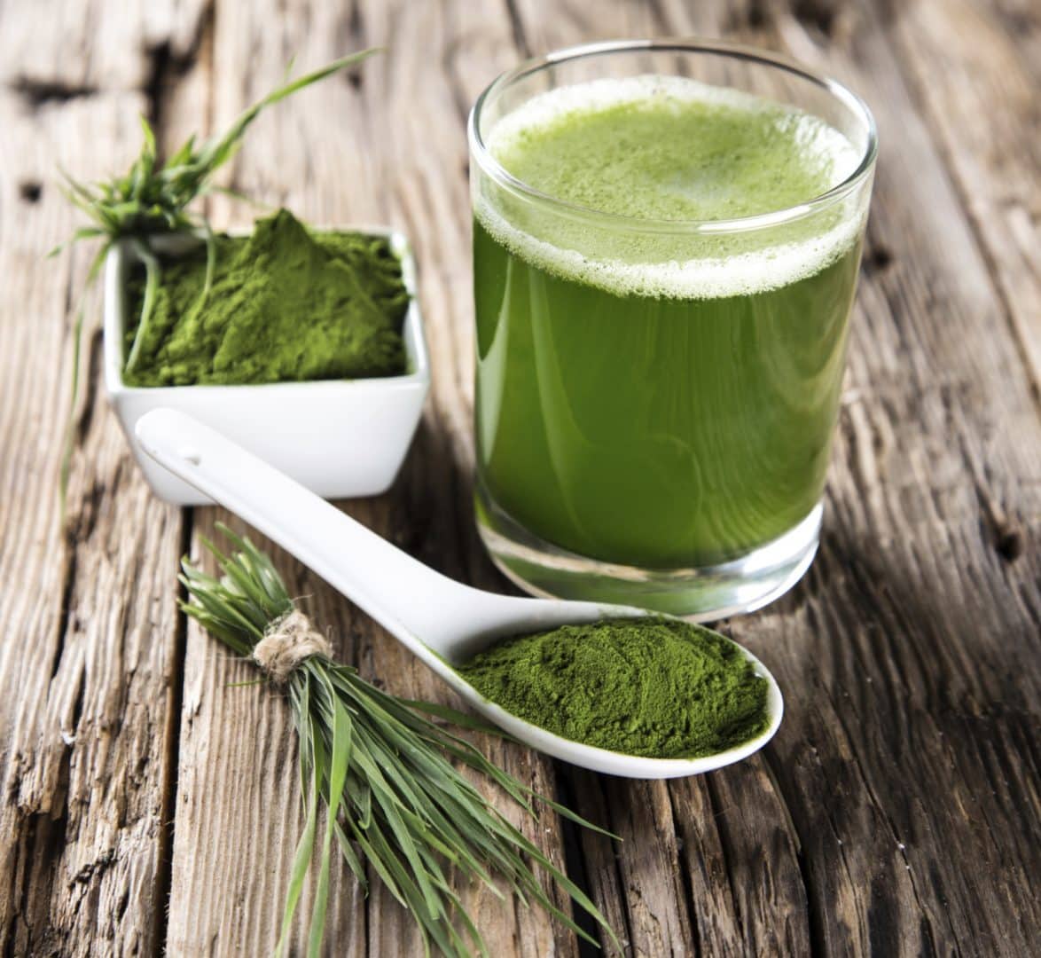 Conheca O Matcha Seus Beneficios E Varias Formas De Consumi Lo