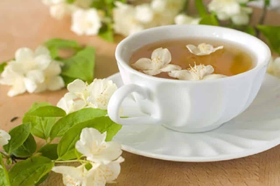 Chá branco, o que é? Para o que serve e como fazer