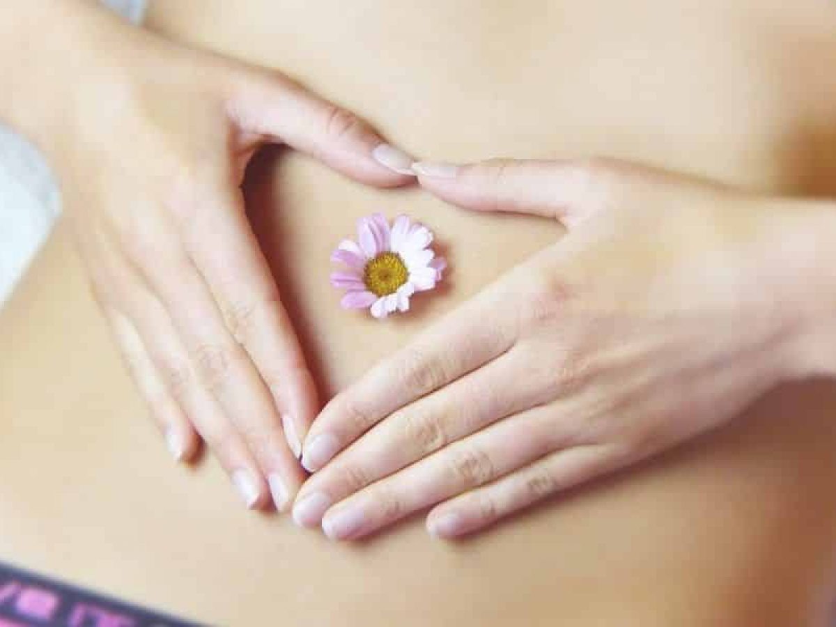 O que &eacute; ovula&ccedil;&atilde;o? Como ocorre, monitora&ccedil;&atilde;o e per&iacute;odo f&eacute;rtil