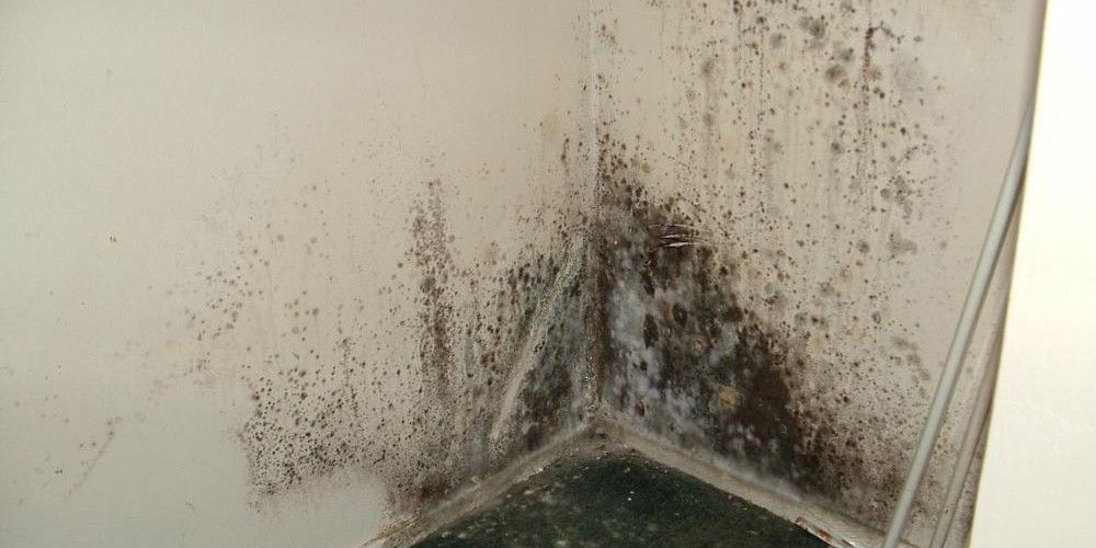 como tirar cheiro de mofo comodos objetos e paredes - Cómo quitar el olor a moho de las habitaciones, los objetos y las paredes
