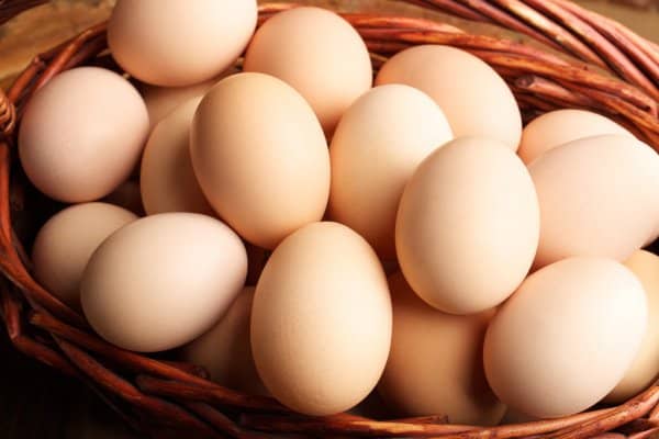 Hidratação com ovo: principais benefícios e receitas