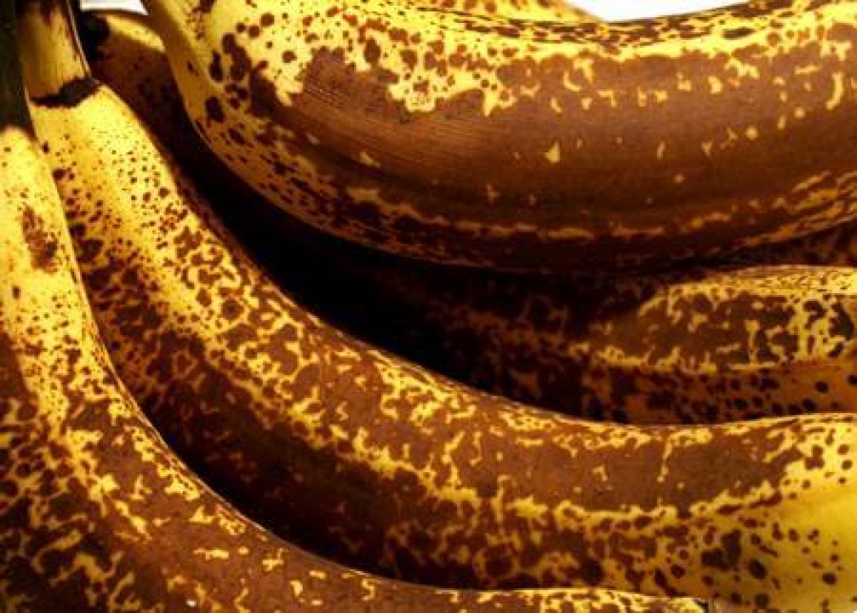 O que fazer com bananas maduras