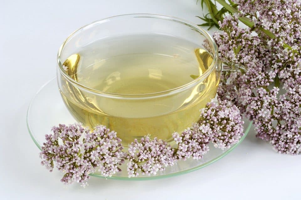 Valeriana: para que serve, o que é e como usar?