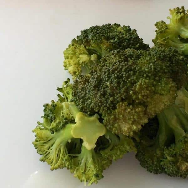 Brócolis estragados: 4 dicas para saber quando jogar fora